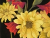 Reid_J_Friendly Flowers - Pastel