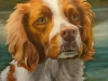 BSaunders_Sasha_2016