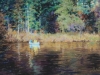 Palmer, Janet The Blue Boat