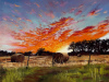 Baldwin_Susan_Sunset-over-the-Farm