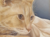 Benware_Ronnie_Casper