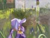 Cooke_Janet_Spring-Iris-scaled