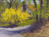 Howard_J_BurstofSpring