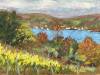 Luber_L_Terroir-Driven-Vineyards