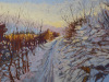 Nealy_Marianne_Snowy-Path