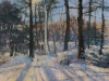 Nealy_Marianne_Waltham-Woods-in-Late-January