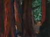 Ray_Anne_Redwood-Peek-a-boo