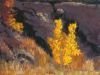 Richard-Morrow_Jennifer_Aspen-on-the-Mohawk