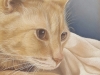 Benware_R_Casper