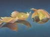 Benware_R_Onion Skins